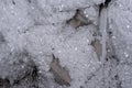 Crystals of hoarfrost on an underground rock