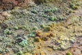 Crystals of iron sulfate and other chemicals, soil polluted with toxic waste near abandoned copper mine