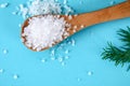 Crystals of large sea salt in a wooden spoon and dill on a blue table. Royalty Free Stock Photo