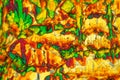 Potassium ferricyanide under the microscope and in polarized light.