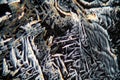 Crystals of potassium nitrate under the microscope Royalty Free Stock Photo
