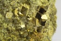 Crystals of pyrite