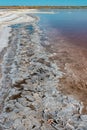 Crystals of self-sedimentary salt in the form of rounded formations in the hypersaline Kuyalnitsky estuary, an ecological disaster