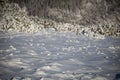 Crystals of snow shining in sunlight