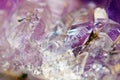 Crystals. Structure of the stone. Beautiful background from purple natural material. Macro Royalty Free Stock Photo