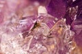 Crystals. Structure of the stone. Beautiful background from purple natural material. Macro Royalty Free Stock Photo