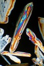 Crystals Under A Microscope In Polarized Light Royalty Free Stock Photo