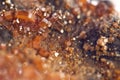 Crystals Vanadinite. Macro. Extreme closeup