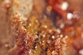 Crystals Vanadinite. Macro. Extreme closeup