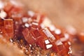 Crystals Vanadinite. Macro. Extreme closeup