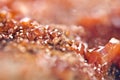 Crystals Vanadinite. Macro. Extreme closeup