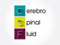 CSF - cerebrospinal fluid acronym, concept background