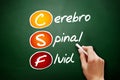 CSF - cerebrospinal fluid acronym, concept on blackboard Royalty Free Stock Photo