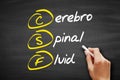 CSF - cerebrospinal fluid acronym, concept on blackboard Royalty Free Stock Photo