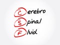 CSF - cerebrospinal fluid acronym Royalty Free Stock Photo