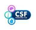 CSF - cerebrospinal fluid. Medical concept. Vector stock illustration.