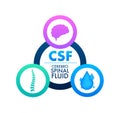 CSF - cerebrospinal fluid. Medical concept. Vector stock illustration.