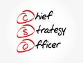 CSO - Chief Strategy Officer acronym, business concept background