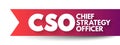 CSO Chief Strategy Officer - executive has primary responsibility for strategy formulation and management, including developing