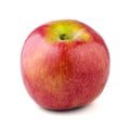 CSP Pink Lady Apple Royalty Free Stock Photo