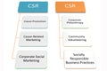 CSR activity management garph