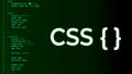 css code on dark background in code editor and word