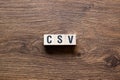 CSV - Abbbreviation of Computer system validation,word,text