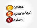 CSV - Comma Separated Values acronym, technology concept background