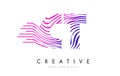 CT C T Zebra Lines Letter Logo Design with Magenta Colors Royalty Free Stock Photo