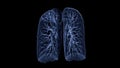 CT Chest or CT lung 3d rendering image with blue color showing Trachea and lung in respiratory system Royalty Free Stock Photo