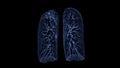 CT Chest or CT lung 3d rendering image with blue color showing Trachea and lung in respiratory system Royalty Free Stock Photo
