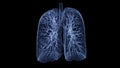 CT Chest or CT lung 3d rendering image with blue color showing Trachea and lung in respiratory system Royalty Free Stock Photo