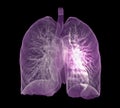 CT Chest or Lung 3D rendering image. Royalty Free Stock Photo