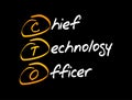 CTO - Chief Technology Officer acronym