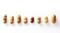 ctrast peanuts on white Royalty Free Stock Photo