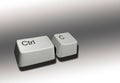 Ctrl C Combo keyboard Keys with a soft background