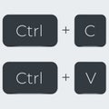 Ctrl C and Ctrl V computer keyboard buttons. Desktop interface. Web icon