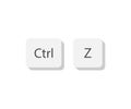 Ctrl z keyboard keys. Button on flat style. Isolated vector