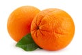 Ctrus fruit orange closeup Royalty Free Stock Photo