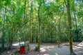 Cu Chi tunnel, historic famous place in Vietnam war Royalty Free Stock Photo