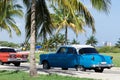 Cuba american Oldtimers parked under palms