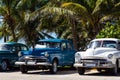 Cuba american Oldtimers under palms