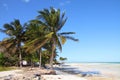 Cuba beach Royalty Free Stock Photo