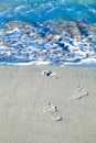 Cuba beach footprints in the Caribbean sand Caribbean with waves