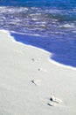 Cuba beach footprints in the caribbean sand in varedero