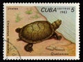 Cuban postage stamp featuring sea turtle. Ancient reptile