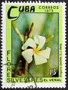 CUBA - CIRCA 1973: : A post stamp printed in CUBA shows Anguria pedata flower, the series The wild flowers .