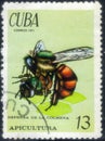 Cuba - circa 1971: Postage stamp issued in the Cuba with the image of the Defending the Hive Apis sp., circa 1971 Royalty Free Stock Photo