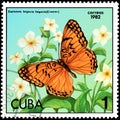 CUBA - CIRCA 1982: Postage stamp printed by Cuba shows butterfly Euptoieta hegesia