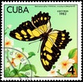 CUBA - CIRCA 1982: Postage stamp printed by Cuba shows butterfly Metamorpha stelenes insularis